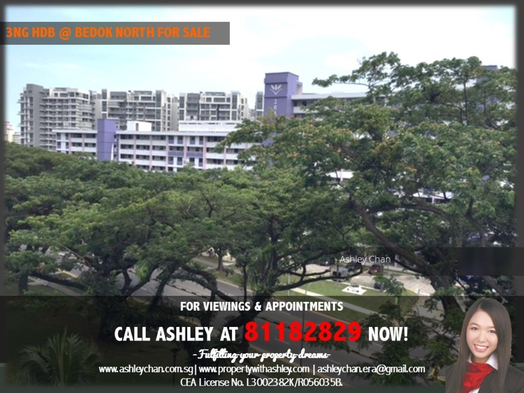 Bedok North Street 1 thumbnail photo